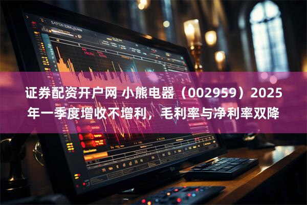 证券配资开户网 小熊电器（002959）2025年一季度增收不增利，毛利率与净利率双降
